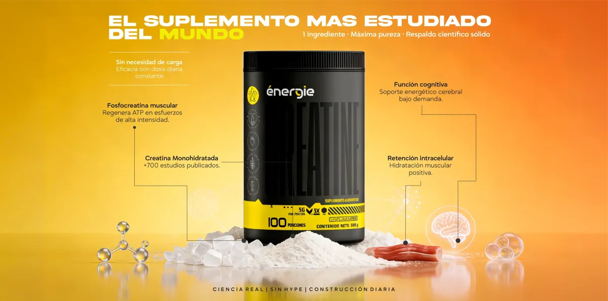 CREATINA - 2