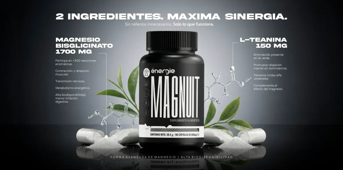 MAGNUIT - 2