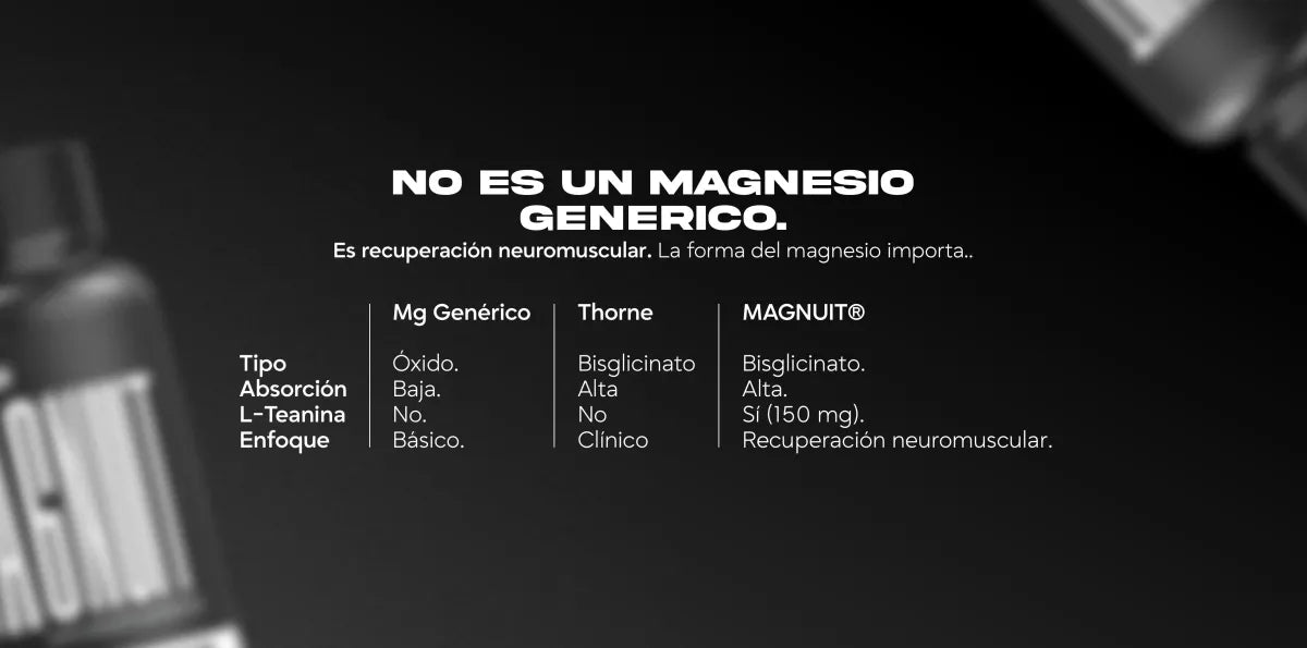 MAGNUIT - 3