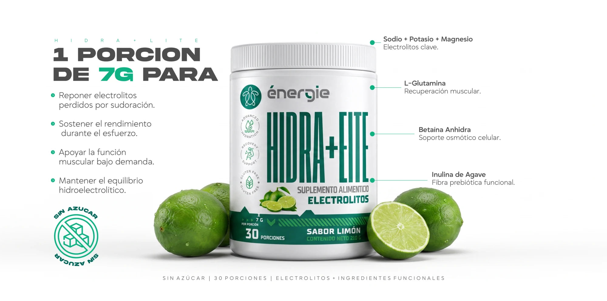 HIDRA+ - 1