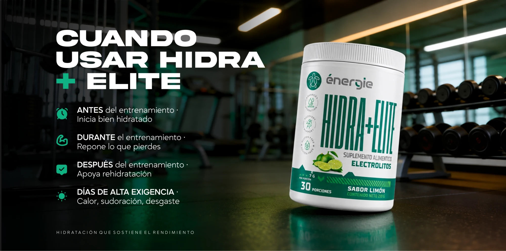 HIDRA+ - 3